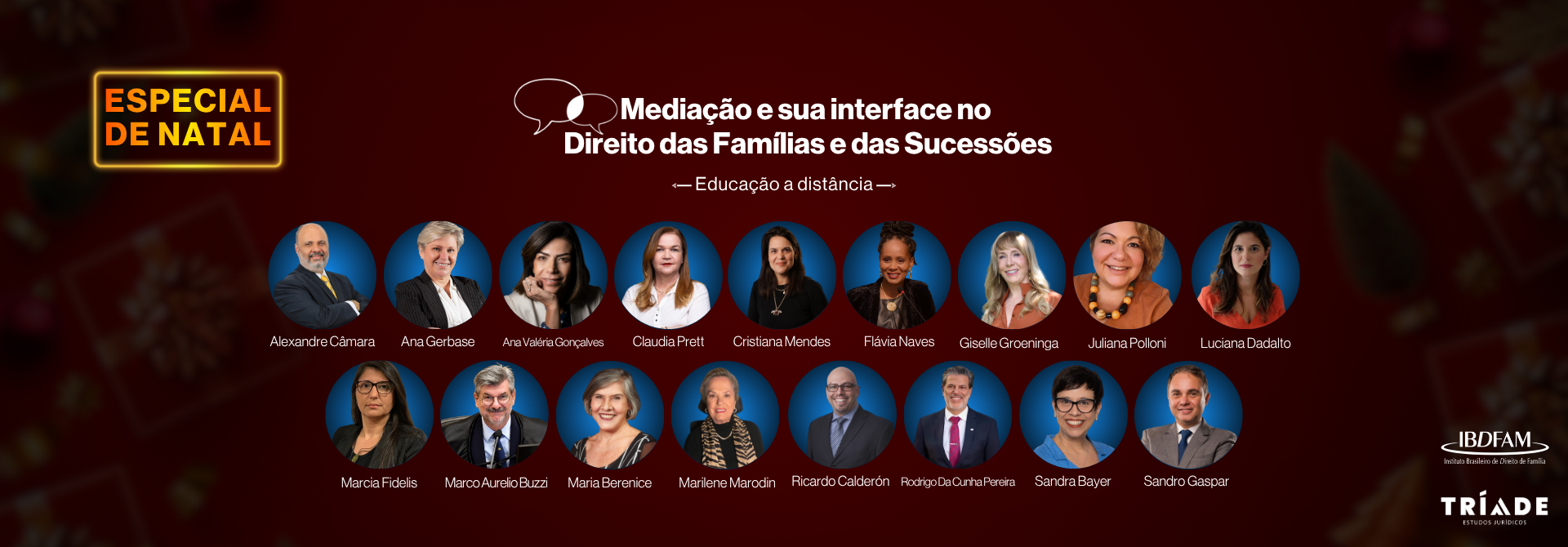 2025 - MEDIAÇÃO E SUA INTERFACE NO DIREITO DAS FAMÍLIAS E DAS SUCESSÕES - BLACK
